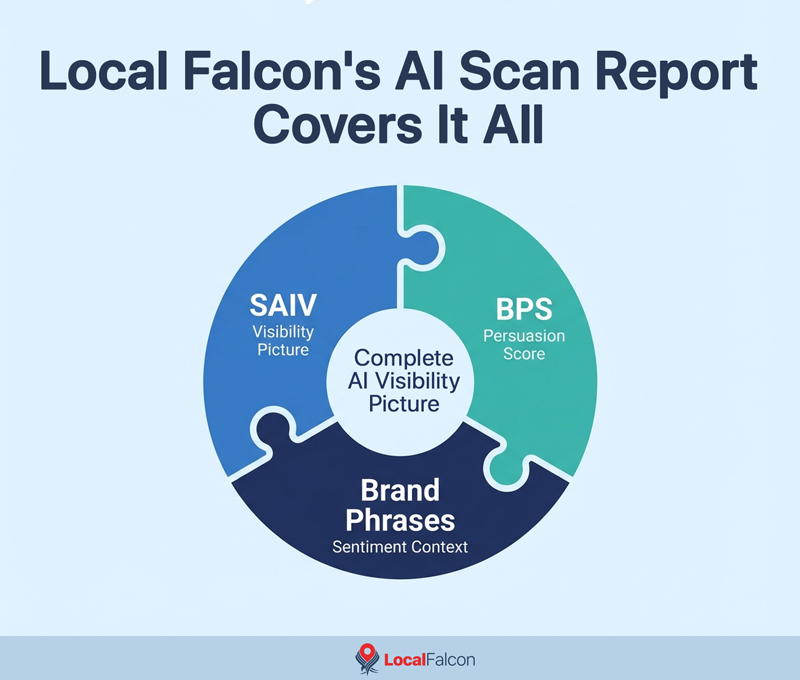 local-falcons-ai-scan-report-covers-it-all.jpg