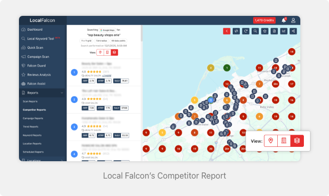 how-to-use-local-falcons-competitor-report-to-balance-seo-and-paid-ads.png