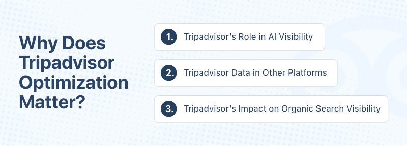 why-does-tripadvisor-optimization-matter.png
